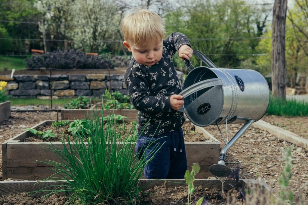 services de jardinage professionnels pour l'entretien et l'aménagement de vos espaces verts. contactez-nous pour des prestations de qualité.