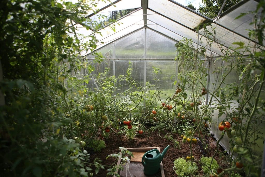 délimitez et embellissez votre jardin avec des bordures de jardin de qualité supérieure.