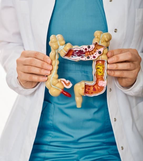 découvrez comment améliorer votre santé intestinale grâce à des conseils pratiques sur l'alimentation, le microbiote et le bien-être digestif. prenez soin de votre ventre pour une meilleure santé globale.