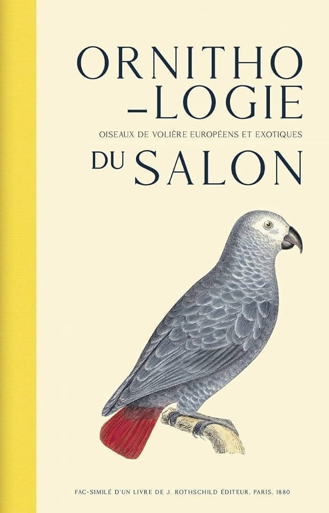 découvrez les caractéristiques essentielles de l'ornithologie, l'étude fascinante des oiseaux, incluant leur biologie, comportement et habitat.