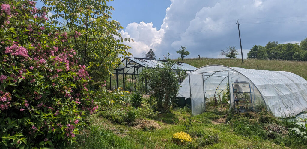 Serre de jardin en aluminium et verre installée au fond d'un potager