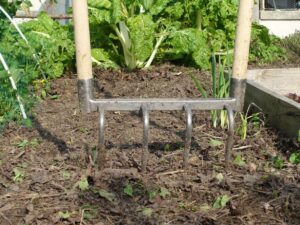 Grelinette à cinq dents plantée dans la terre d'un potager