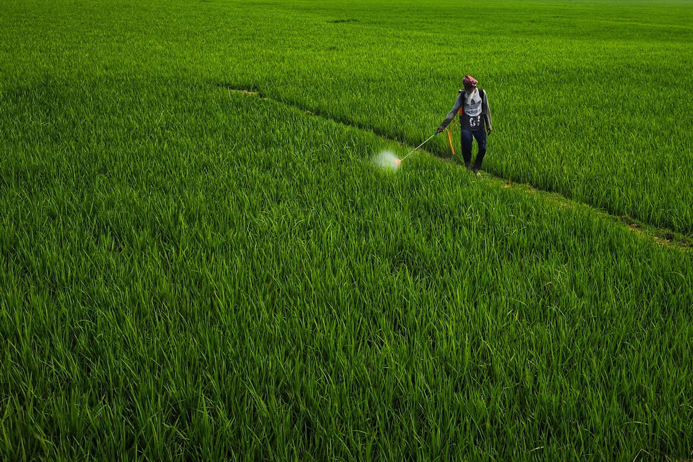 Glyphosate : définition, risques et statut réglementaire